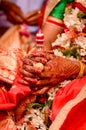 Bengali wedding Royalty Free Stock Photo