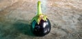 Bengan, black eggplant image