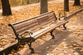 Benh in autumn park with leaves