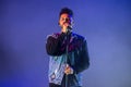 The Weeknd Rhythm and blues music band perform in concert at FIB Festival