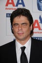 Benicio Del Toro