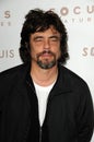 Benicio Del Toro Royalty Free Stock Photo