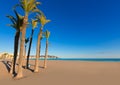 Benidorm Alicante playa de Poniente beach in Spain