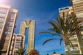 Benidorm skyscrapers and palm tree close-up, business card of the city, Spain