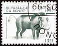 BENIN - CIRCA 1999: A stamp printed in Benin from the `Mammals` issue shows Desert Warthog Phacochoerus aethiopicus, circa 1999.
