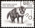 BENIN - CIRCA 1999: A stamp printed in Benin from the `Mammals ` issue shows Brown hyena Hyaena brunnea, circa 1999.