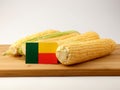 Benin flag on a wooden panel with corn isolated on a white backg Royalty Free Stock Photo