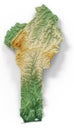 Benin relief map