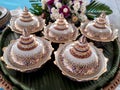 Benjarong cup set on banana leaf design in Thailand traditional royal table set