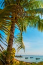 Benoa sand beach view, palm tree. Bali,Indonesia Royalty Free Stock Photo