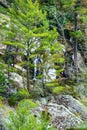 Bent Mountain Falls in Roanoke County Royalty Free Stock Photo