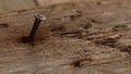 Bent Rusty Nail in Aged Wood. Royalty Free Stock Photo