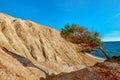 Bent tree on edge of red rock in yellow cliffs, blue sea, sunshine. Royalty Free Stock Photo