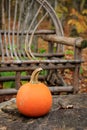 Bent Willow Chair in Autumn Royalty Free Stock Photo