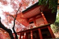 Benten-do and autumn leaves in Daigoji Temple, Kyoto, Japan