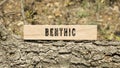 benthic Written on wooden surface. Frame on tree branch. Ecology and environment