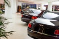 Bentley cars for sale