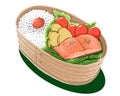 Bento lunch box salmon and eggs fried with white background, drawing illustration