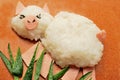 Bento lunch pig Royalty Free Stock Photo
