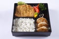 Bento set of Deep fried pork (Tonkatsu), Gyoza, Japanese rice, i Royalty Free Stock Photo