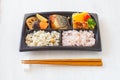 Bento, Single portion takeout Royalty Free Stock Photo