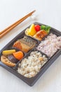 Bento, Single portion takeout Royalty Free Stock Photo