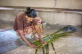 BENTOTA, SRI LANKA - 14 NOVEMBER, 2019: A woman resident of the island of Sri Lanka weaves a fragment of a roof from a palm leaf