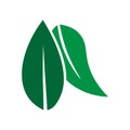 Green Leaf vector logo design and icon. Royalty Free Stock Photo