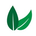 Green Leaf vector logo design and icon. Royalty Free Stock Photo