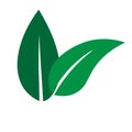 Green Leaf vector logo design and icon. Royalty Free Stock Photo