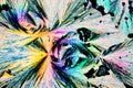 Benzoic acid crystals in polarized light Royalty Free Stock Photo