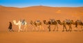 Berber and camel caravan in the Sahara desert, Merzouga, Morocco Royalty Free Stock Photo