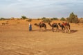 Berber and camel caravan in the Sahara desert, Merzouga, Morocco Royalty Free Stock Photo