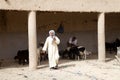 Berber goats market