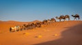 Berber and herd of camels in the Sahara at Sunrise, Merzouga, Morocco Royalty Free Stock Photo