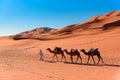 Berber man leading camel caravan in Erg Chebbi Sand dunes in Sahara Desert Royalty Free Stock Photo