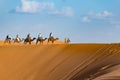 Berber man leading camel caravan, Merzouga, Sahara Desert, Morocco Royalty Free Stock Photo