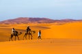 Berber man leading camel caravan, Merzouga, Sahara Desert, Morocco Royalty Free Stock Photo