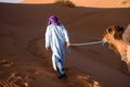 Berber man leading caravan, Hassilabied, Sahara Desert, Morocco Royalty Free Stock Photo