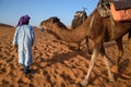 Berber man leading caravan, Hassilabied, Sahara Desert, Morocco Royalty Free Stock Photo