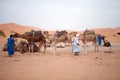 Berber men with camels Royalty Free Stock Photo