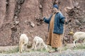 Berber shepherd with his flock in remote High Atlas mountain Royalty Free Stock Photo