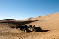 Berber Tents in Merzouga Dunes - Morocco Royalty Free Stock Photo