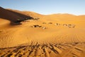 Berber Tents in Merzouga Dunes - Morocco Royalty Free Stock Photo