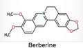 Berberine C20H18NO4, herbal alkaloid molecule. Skeletal chemical formula
