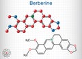 Berberine C20H18NO4, herbal alkaloid molecule. Structural chemical formula and molecule model. Sheet of paper in a cage