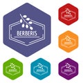 Berberis icons vector hexahedron