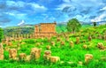 Berbero-Roman ruins at Djemila in Algeria Royalty Free Stock Photo