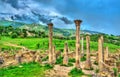 Berbero-Roman ruins at Djemila in Algeria Royalty Free Stock Photo