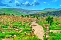 Berbero-Roman ruins at Djemila in Algeria Royalty Free Stock Photo